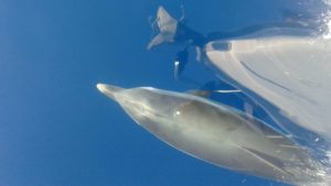 4h-half-day-halkidiki-sailing-trip-04