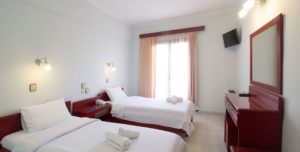 STANDARD TWIN ROOM WITH GARDEN VIEW 18[m2]